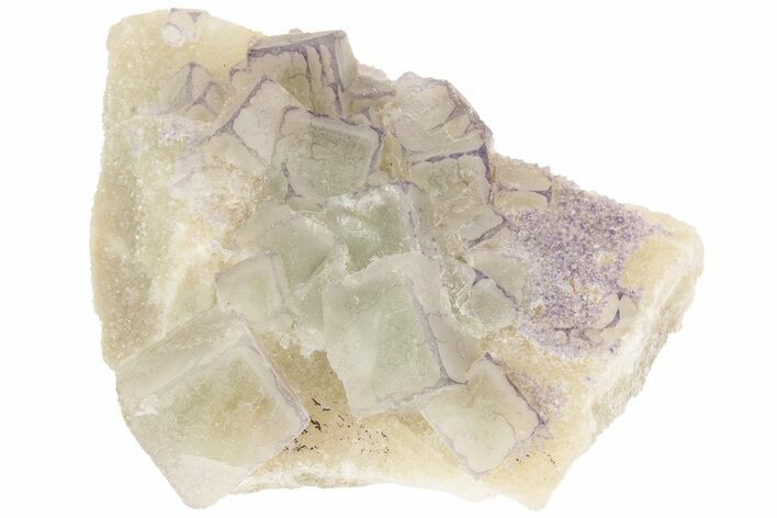Purple Edge Fluorite Crystal Cluster - Qinglong Mine, China #205480